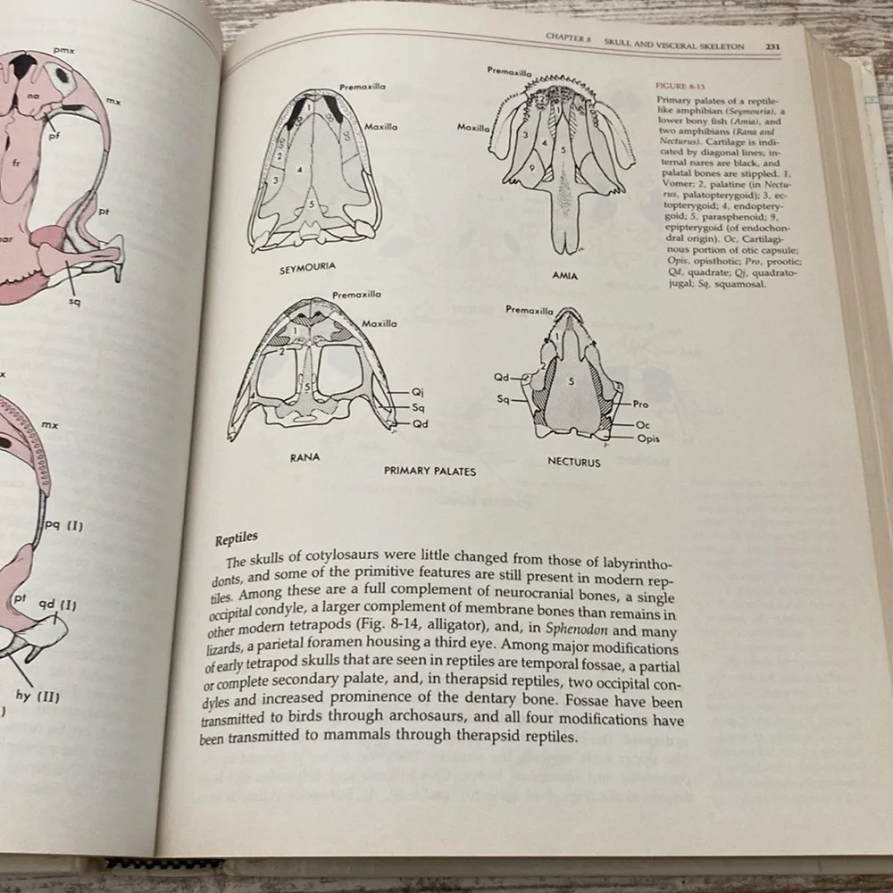 Comparative Anatomy Of The Vertebrates By George C. Kent Hardcover 1987